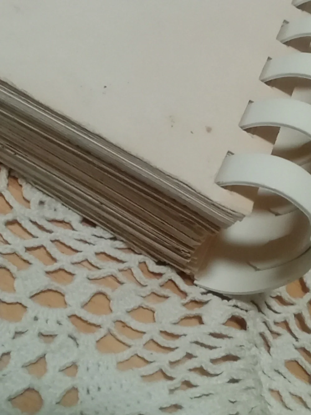 Vintage Cookbook, Jewish Women of St. Louis Section